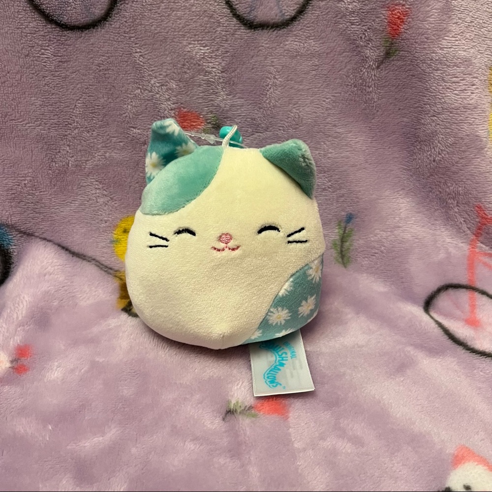 Squishmallow Kesla 🐱 NWT